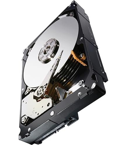 Amazon.com: Seagate 1TB Enterprise Capacity HDD SATA 6Gb/s 128MB